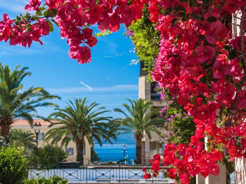 Viaggio in Corsica con World Face - il giro completo dell isola